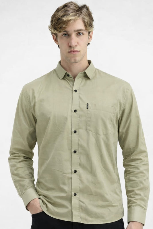 Man wearing a light green button-up shirt on a white background